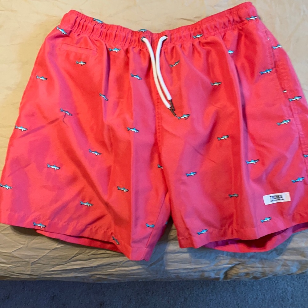 Men’s Trunks brand swimsuit.  Great condition